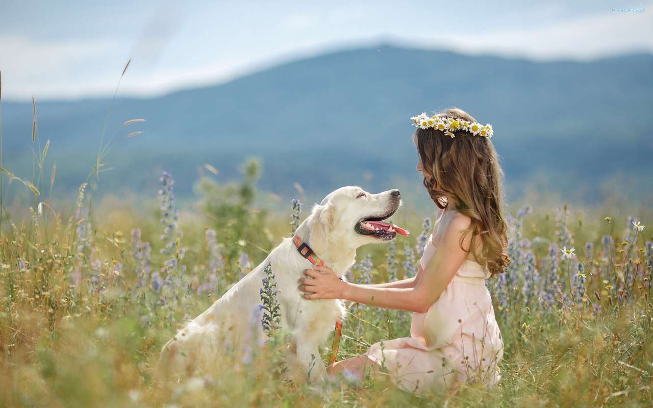 牧草地で彼女の犬と一緒に小さな女の子 ジグソーパズルオンライン