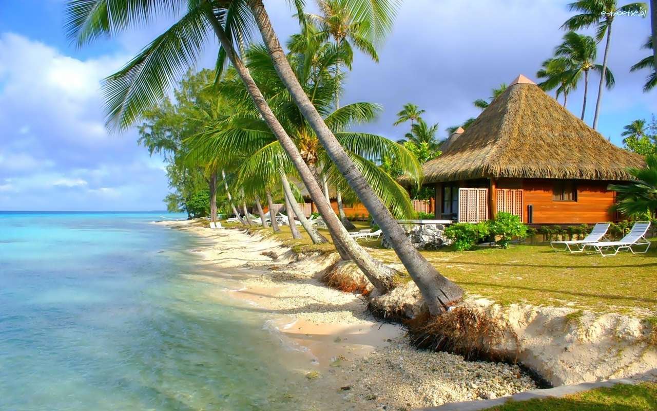 Polynesien pussel på nätet