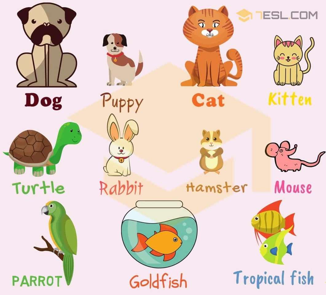 vocabulaire des animaux de compagnie puzzle en ligne