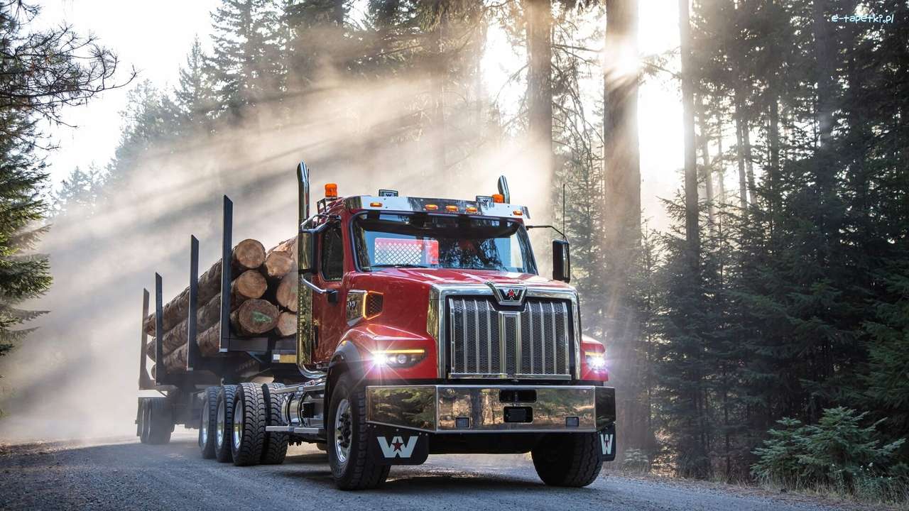 vrachtwagen en boomstammen legpuzzel online