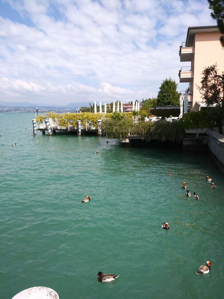 Πάπιες στη λίμνη Garda online παζλ