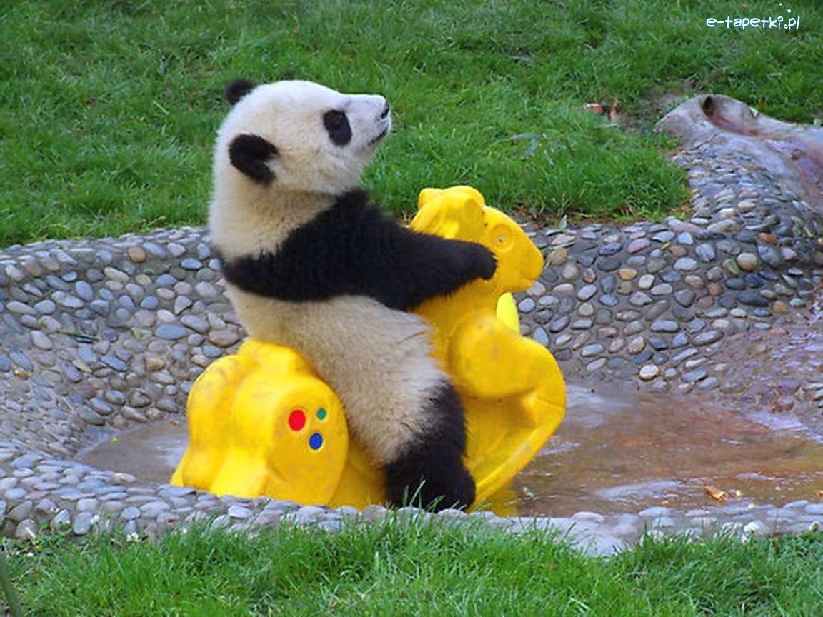 панда на люлеещ се стол онлайн пъзел