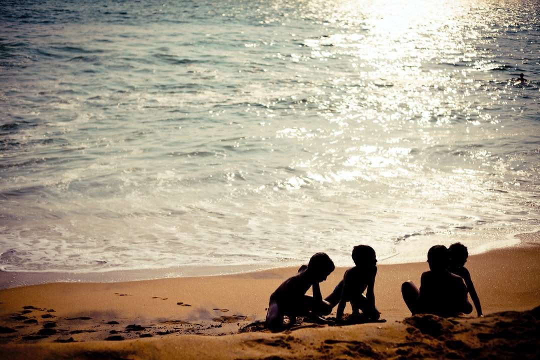 άτομα που κάθονται στην παραλία κατά τη διάρκεια της ημέρας online παζλ