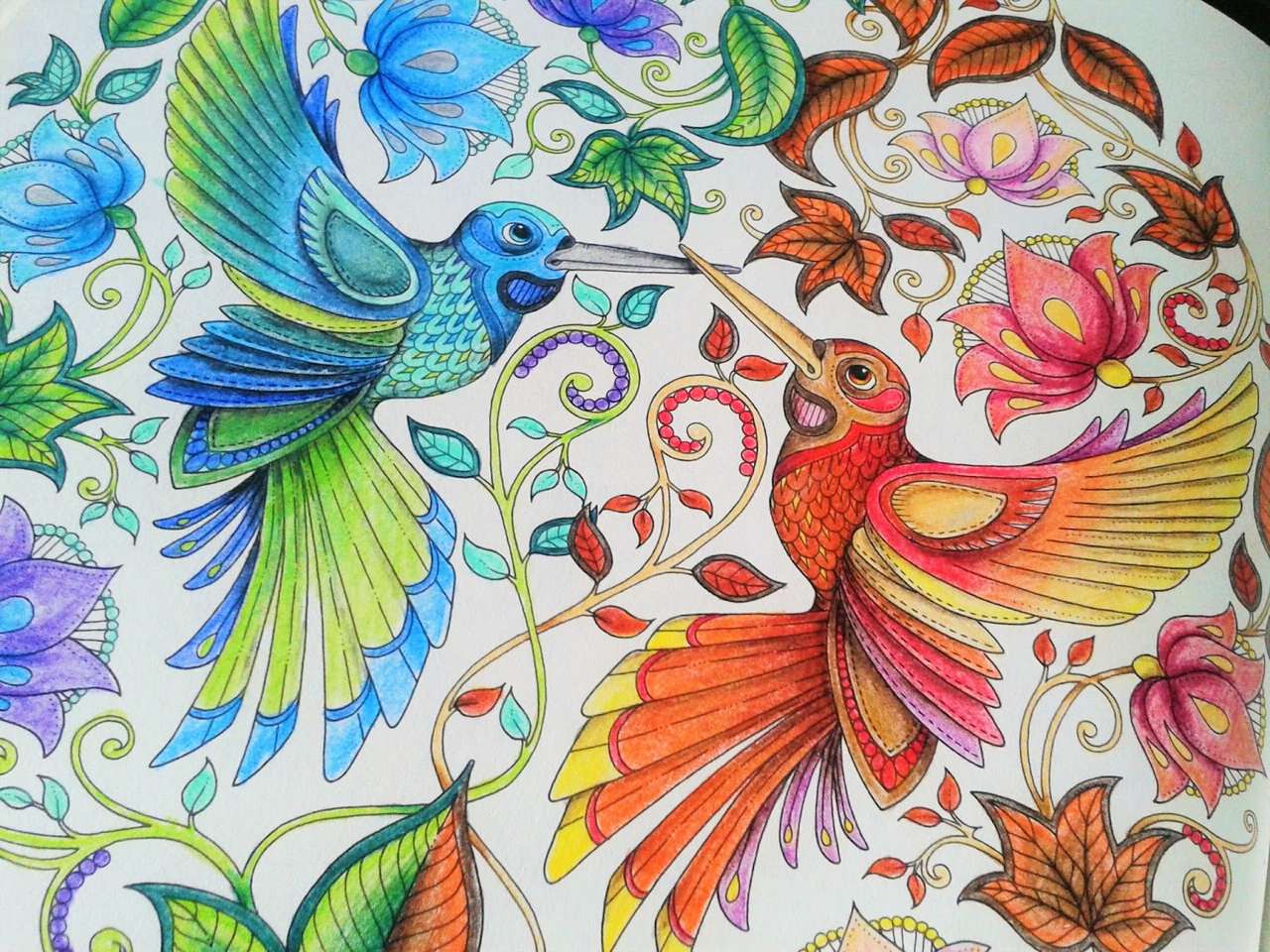Păsări mici colorate jigsaw puzzle online