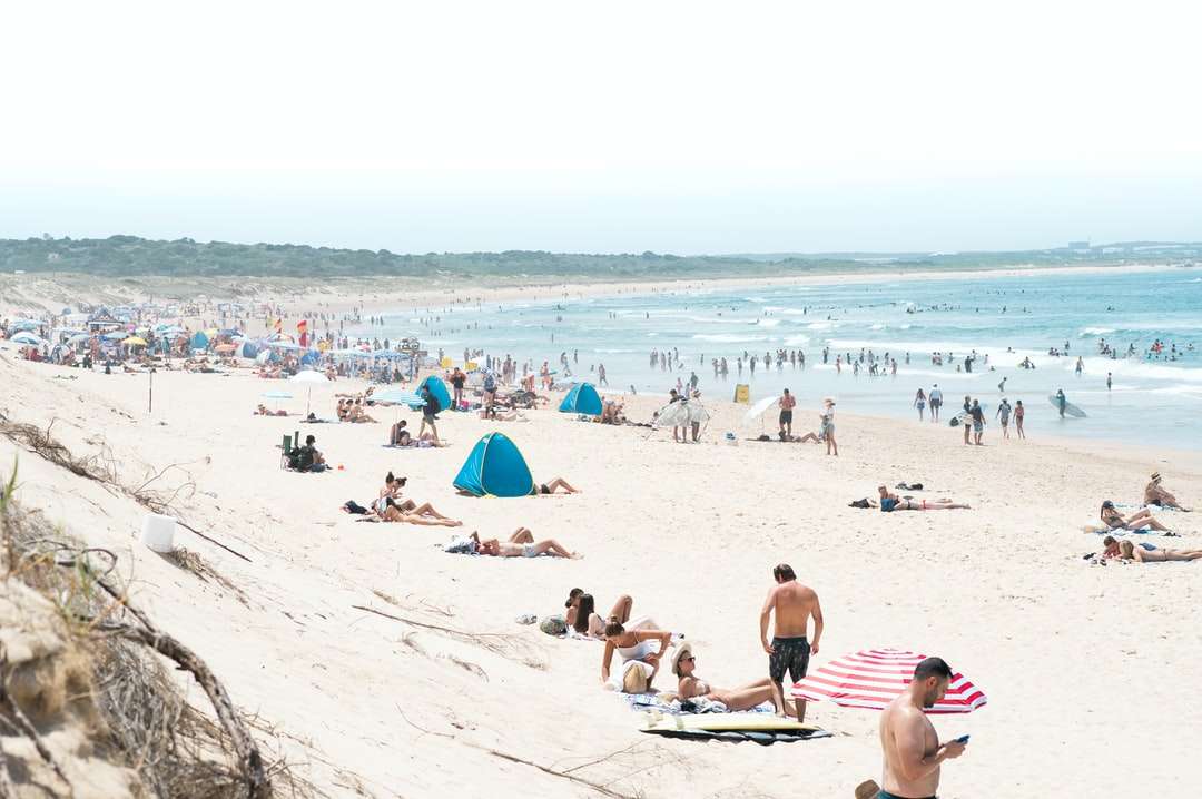 oameni pe plajă în timpul zilei jigsaw puzzle online