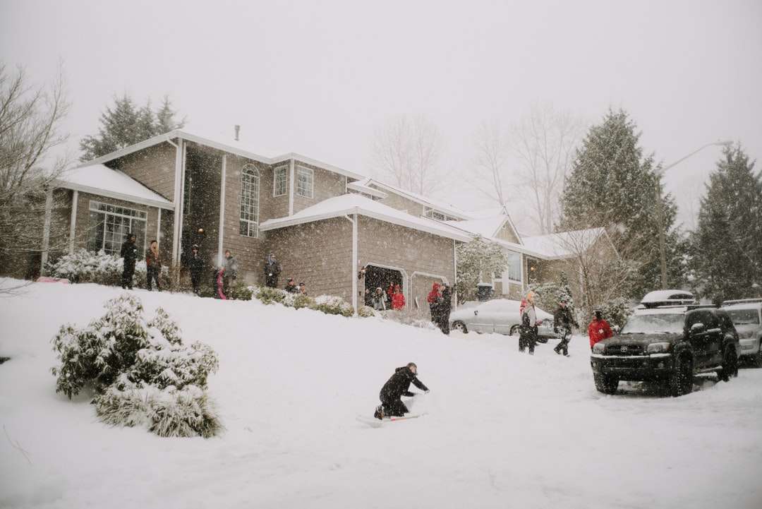 雪に覆われた地面に黒い犬 ジグソーパズルオンライン