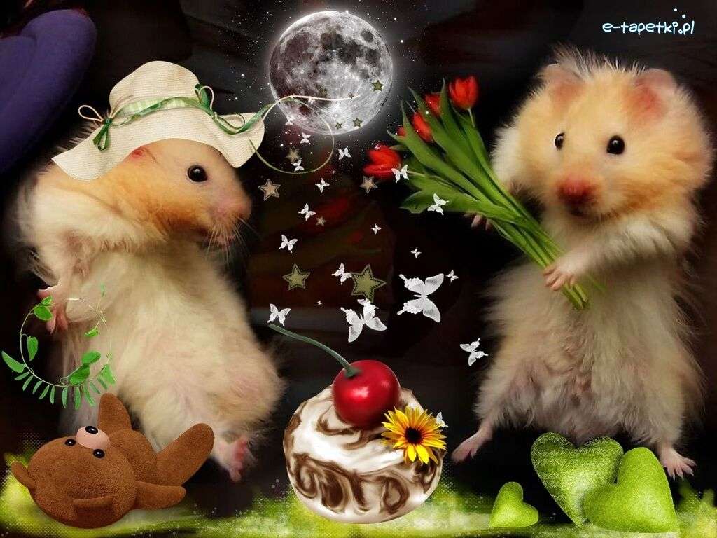 hamsters ... legpuzzel online
