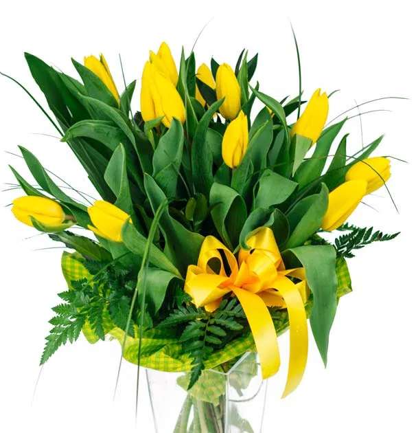 žluté tulipány online puzzle