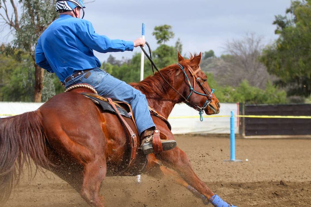 Mann in der blauen Jacke, die tagsüber braunes Pferd reitet Online-Puzzle