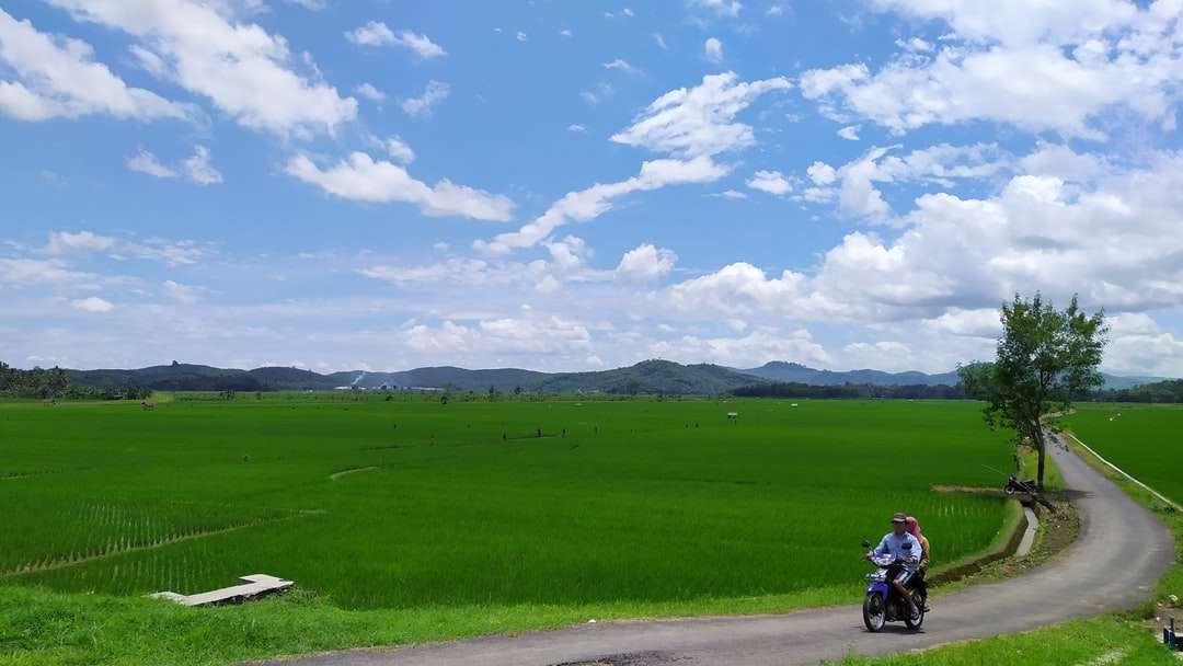 Campo de hierba verde bajo un cielo azul durante el día rompecabezas en línea
