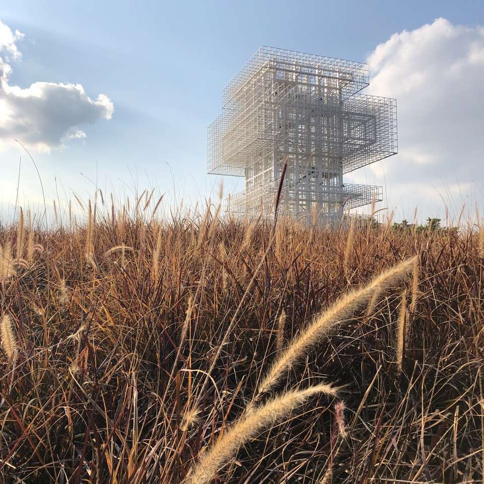 campo di erba marrone vicino a edificio grigio sotto il cielo blu puzzle online