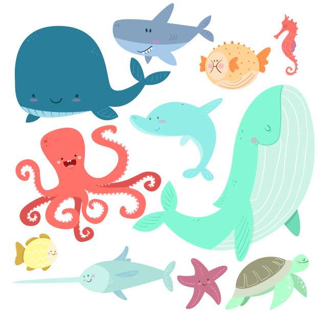 animali marini puzzle online