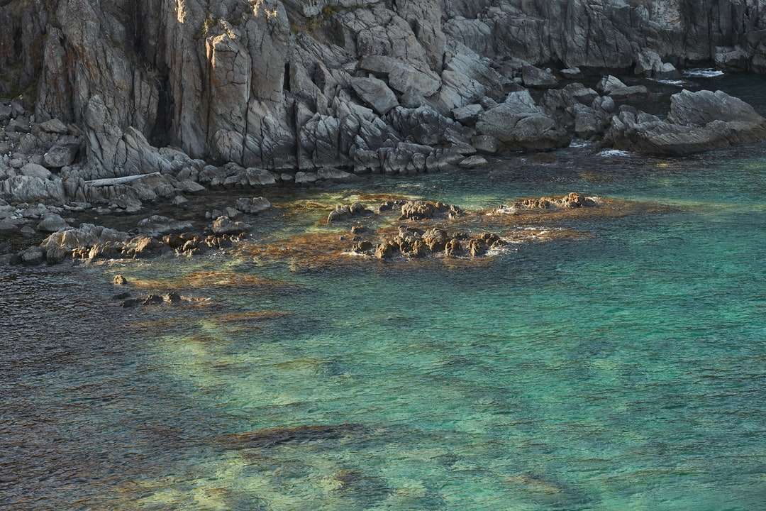 Formación de roca marrón junto al cuerpo de agua durante el día rompecabezas en línea