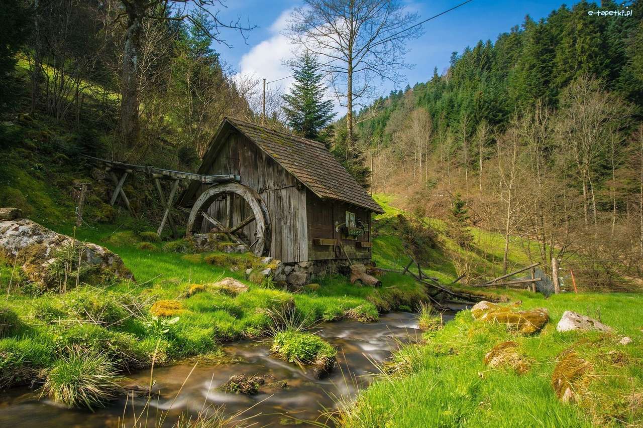 Old Mill W, Las jigsaw puzzle online