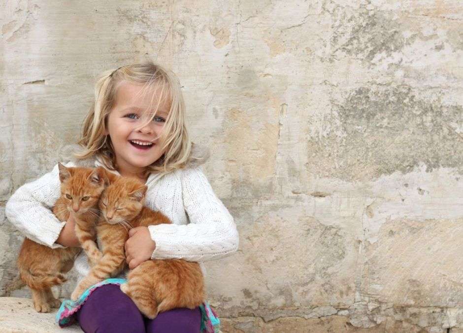 dívka s koťaty skládačky online