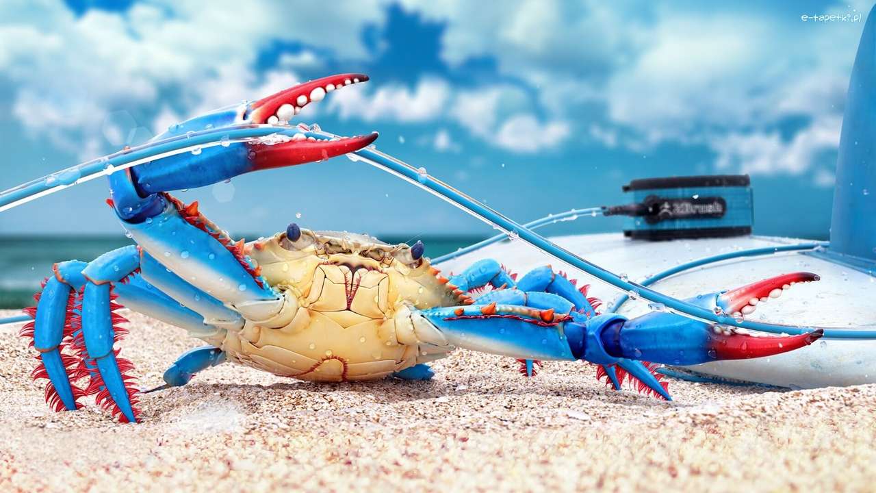 rolig bild av en krabba pussel på nätet