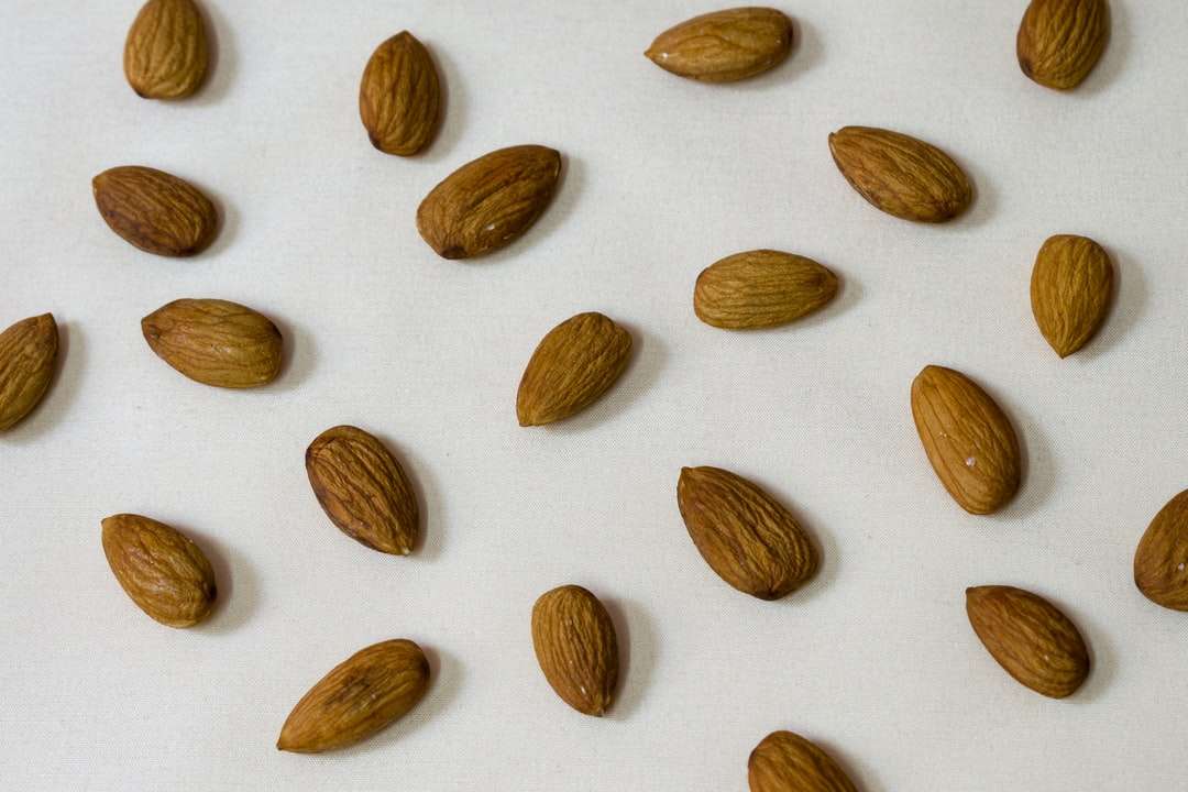 brown almond nut on white surface online puzzle