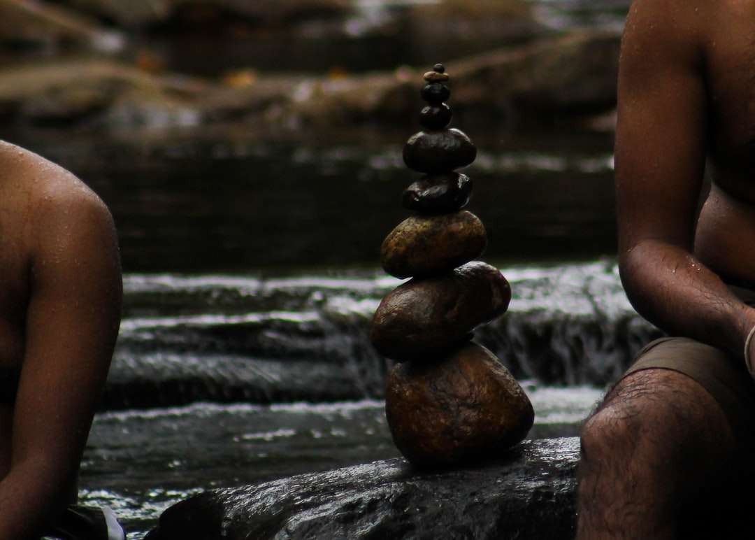 bruine en zwarte stenen op water legpuzzel online