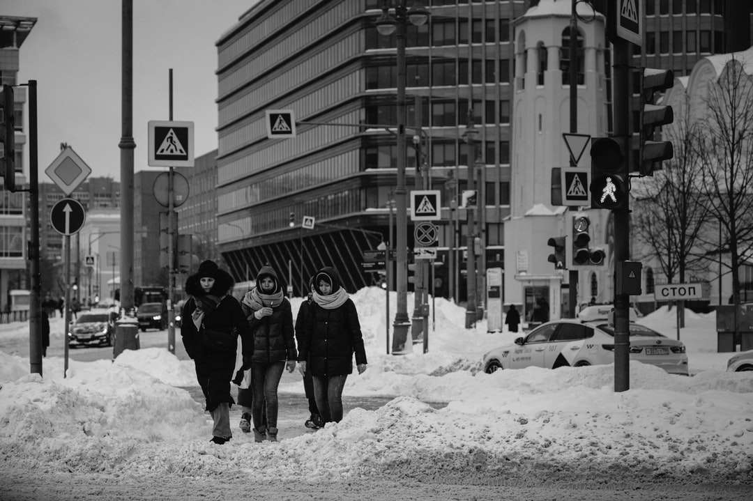 Foto en escala de grises de 2 personas caminando sobre un terreno cubierto de nieve rompecabezas en línea