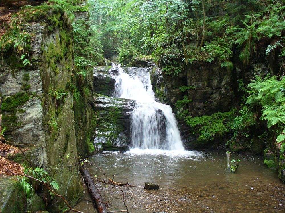litet vattenfall i skogen Pussel online
