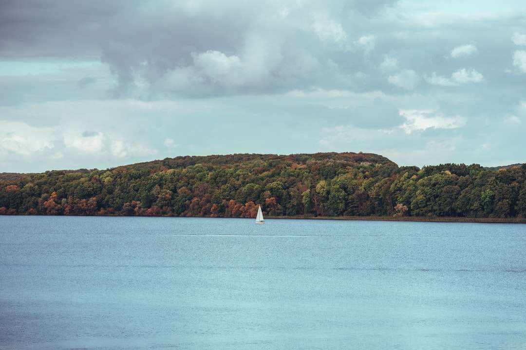 pessoa de camisa branca em pé no barco branco no mar quebra-cabeças online