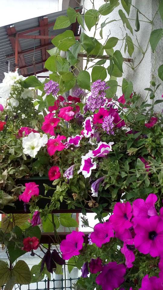 Balkong i blommor Pussel online