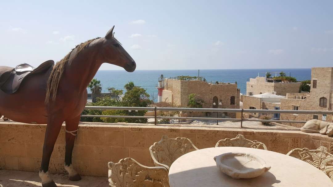 socha hnědého koně poblíž hnědé betonové budovy skládačky online