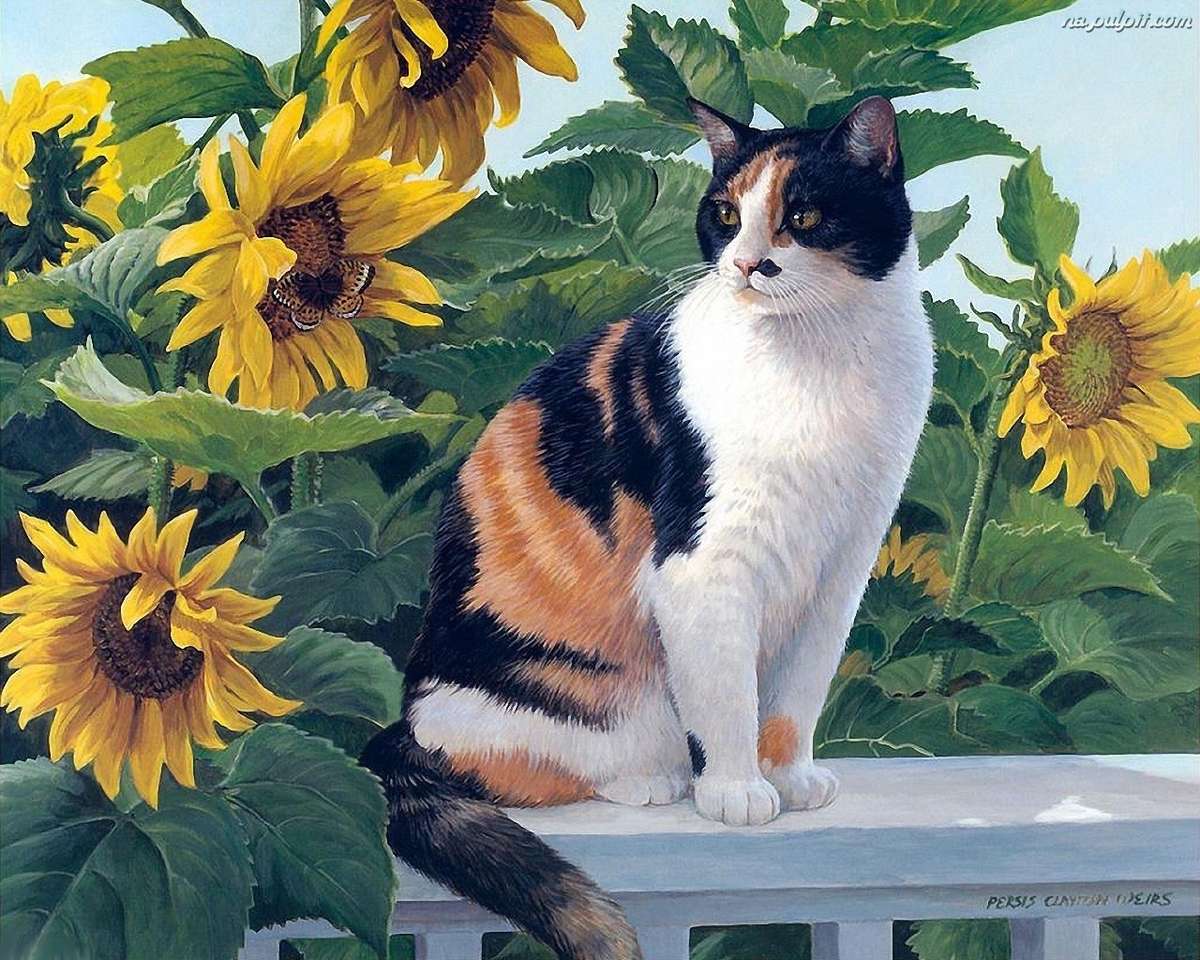 kitten en zonnebloemen legpuzzel online