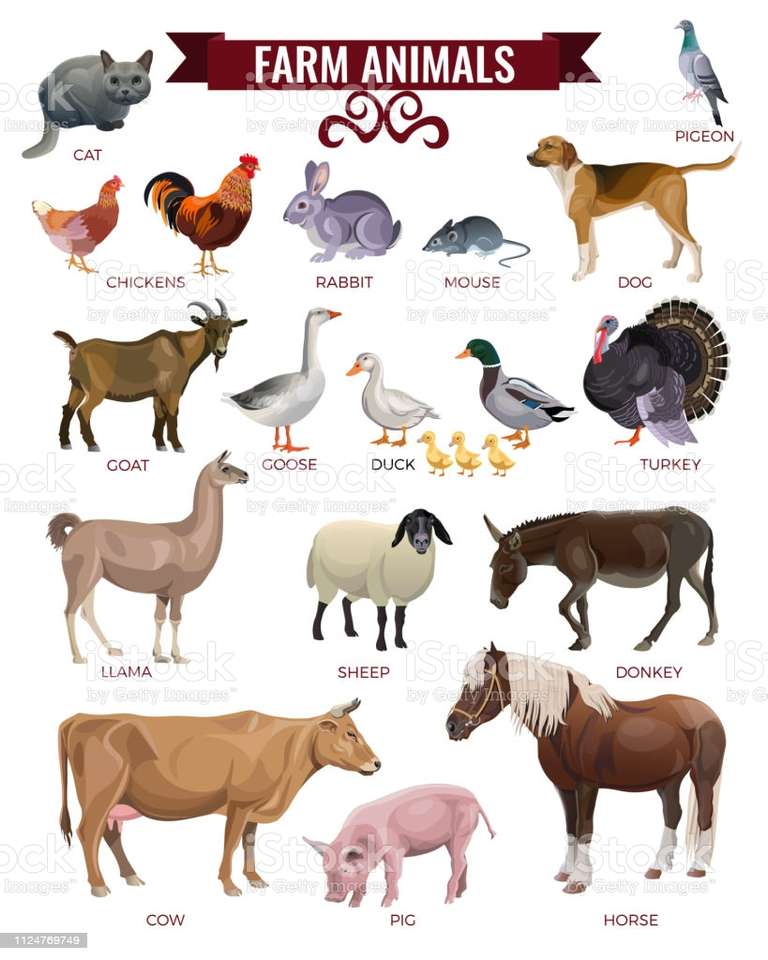 Animale de fermă puzzle online