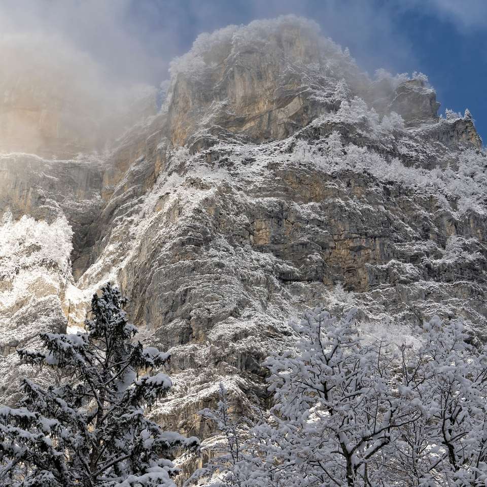 arbres couverts de neige et montagne puzzle en ligne
