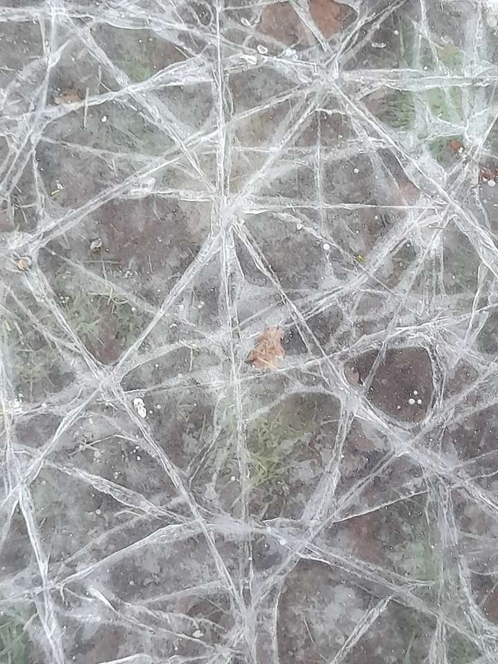 Gheață crăpată puzzle online