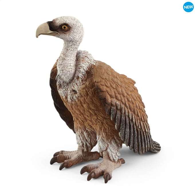 uccello avvoltoio per bambini puzzle online