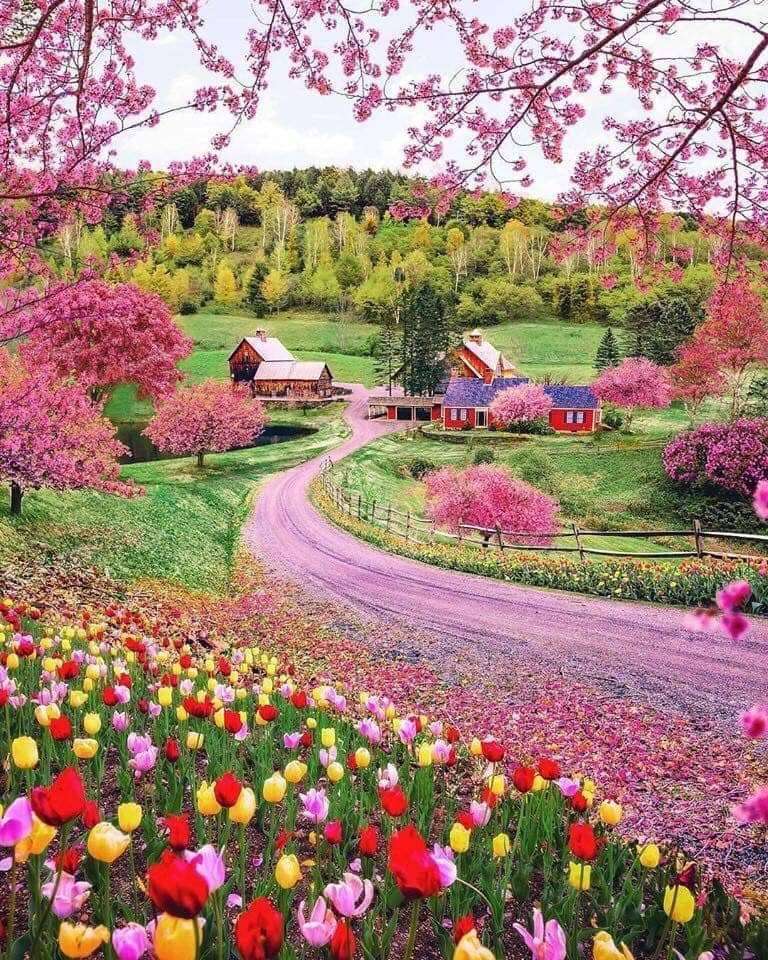 Пролет във Върмонт, САЩ онлайн пъзел