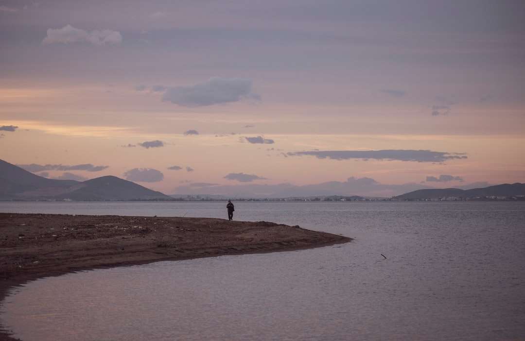 човек, стоящ на кафяв пясък близо до водоема онлайн пъзел