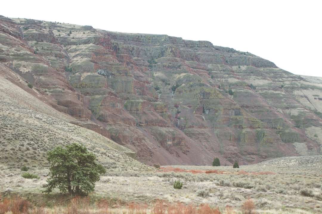 nappali barna és szürke sziklás hegy kirakós online