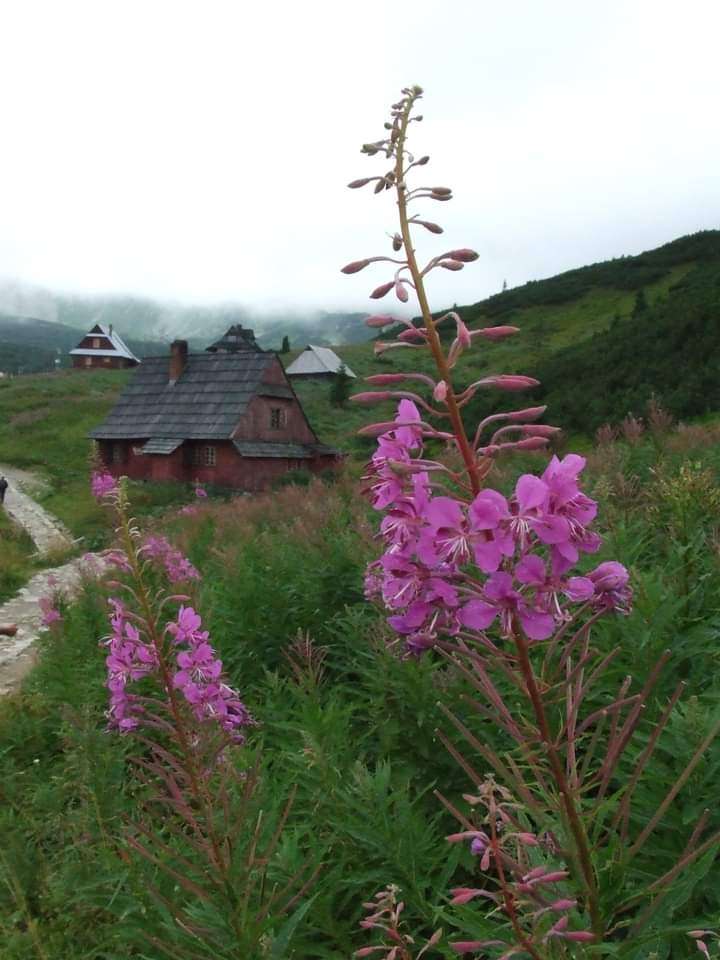Munții Tatra puzzle online