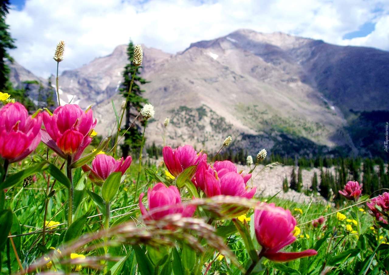 Flowers and mountains jigsaw puzzle online