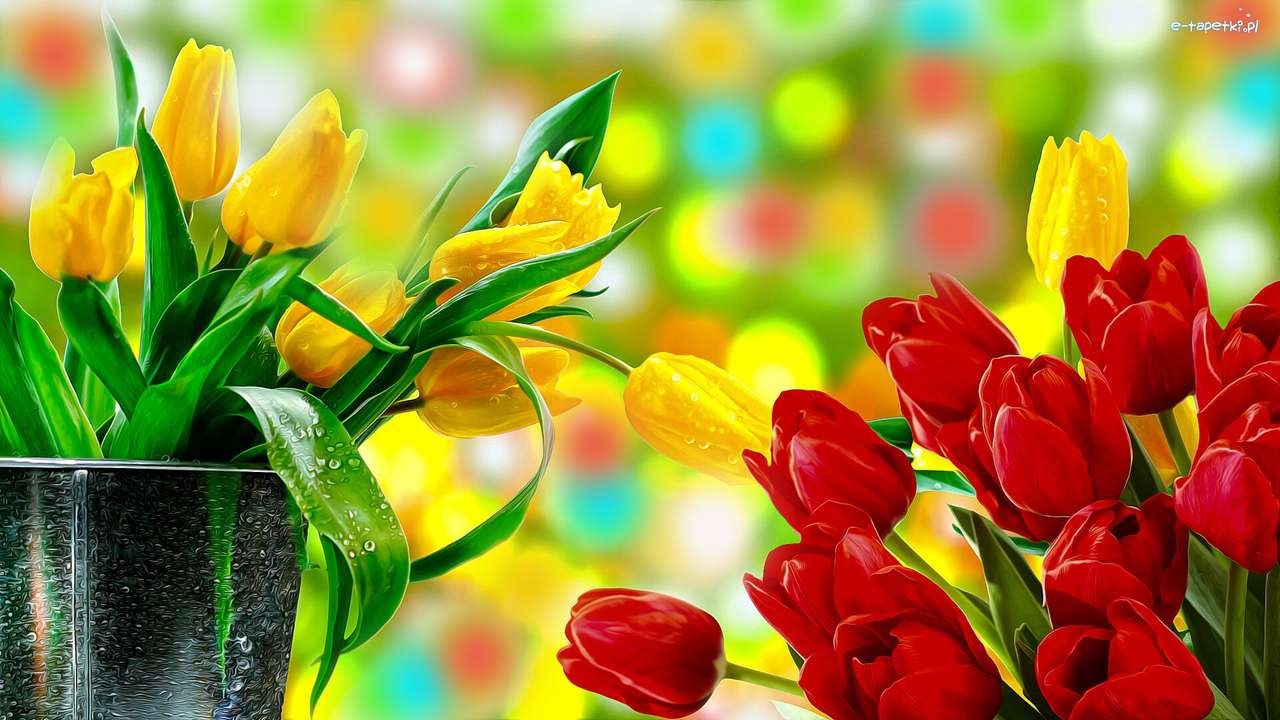 žluté a červené tulipány skládačky online