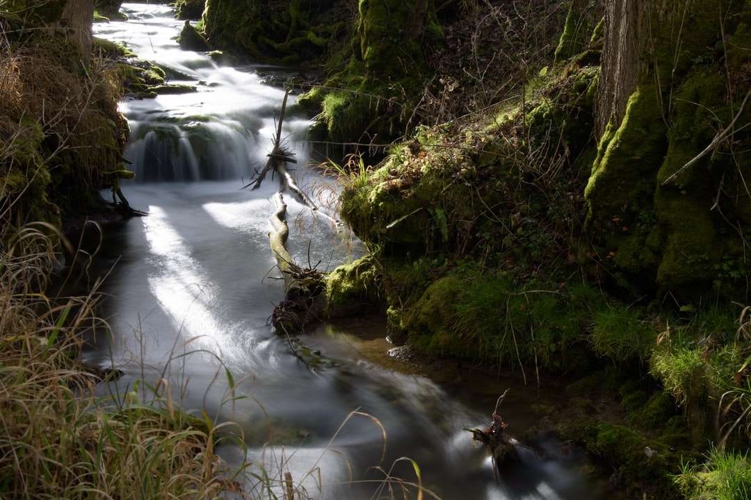 groen mos op bruine rots dichtbij rivier legpuzzel online