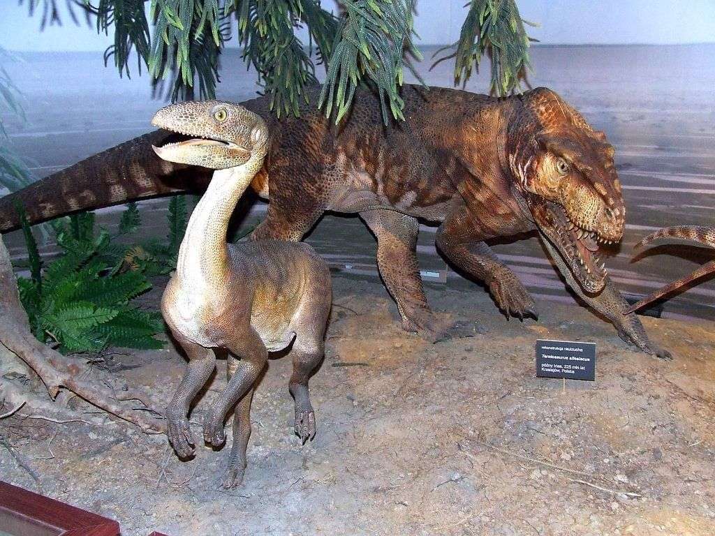 A Lengyel Paleobiológiai Intézet Evolúciós Múzeuma A. kirakós online