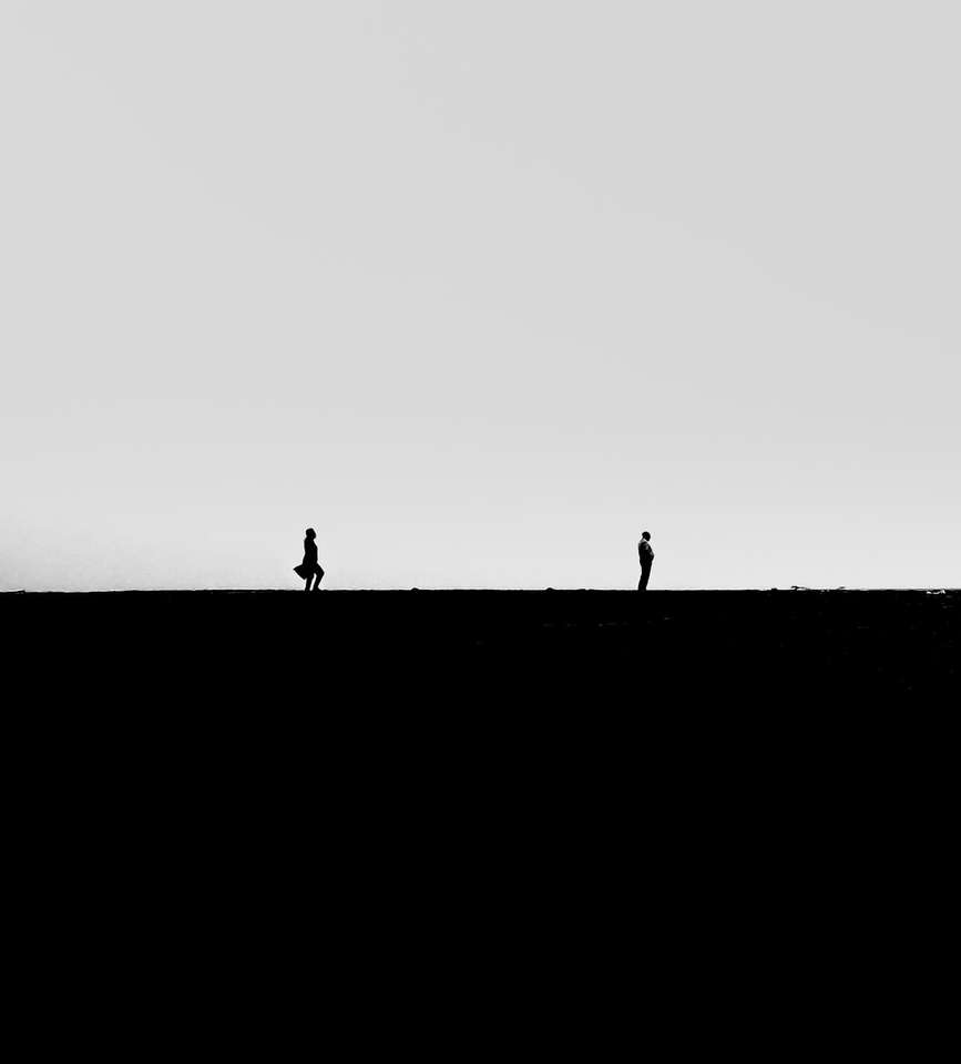 silhouet van 2 personen lopen op veld online puzzel