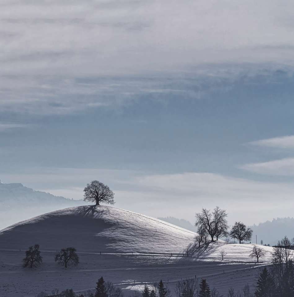 árvores nuas em solo coberto de neve sob céu branco e nublado quebra-cabeças online