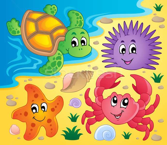 Puzzle animale marine 2 puzzle online