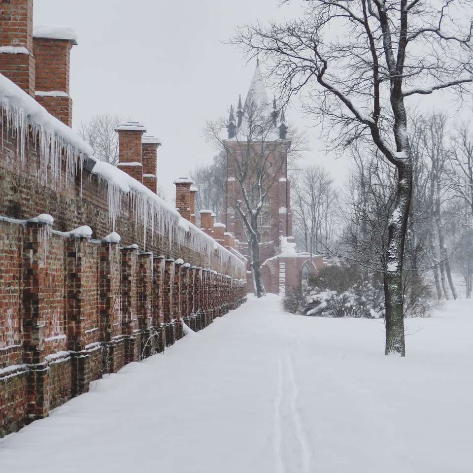 barna, fából készült kerítés, hóval borított kirakós online