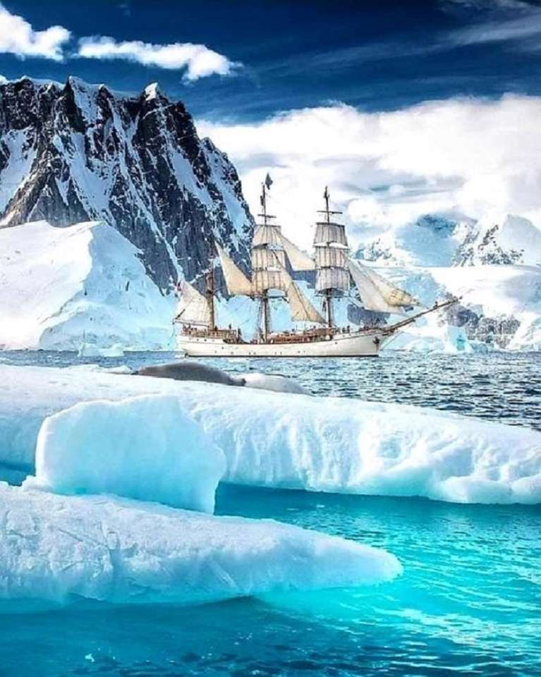 Antarktida. online puzzle