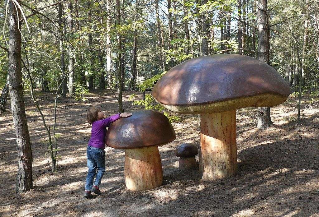 Mushroom Park in Piłka online puzzel