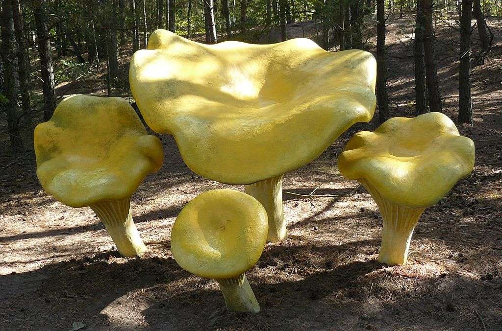 Mushroom Park in Piłka jigsaw puzzle online