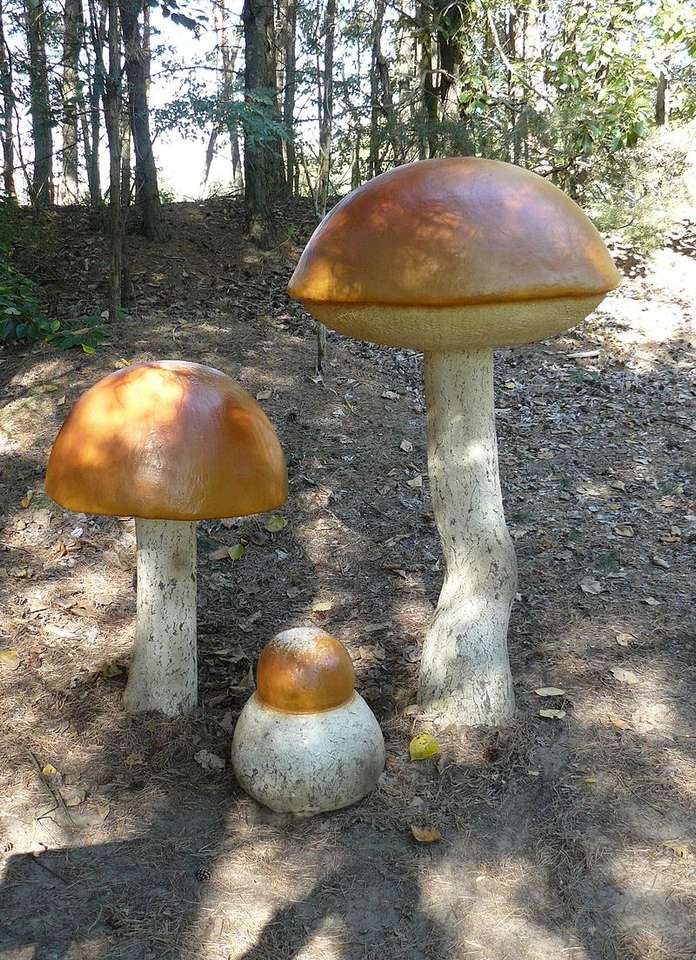 Mushroom Park in Piłka online puzzel