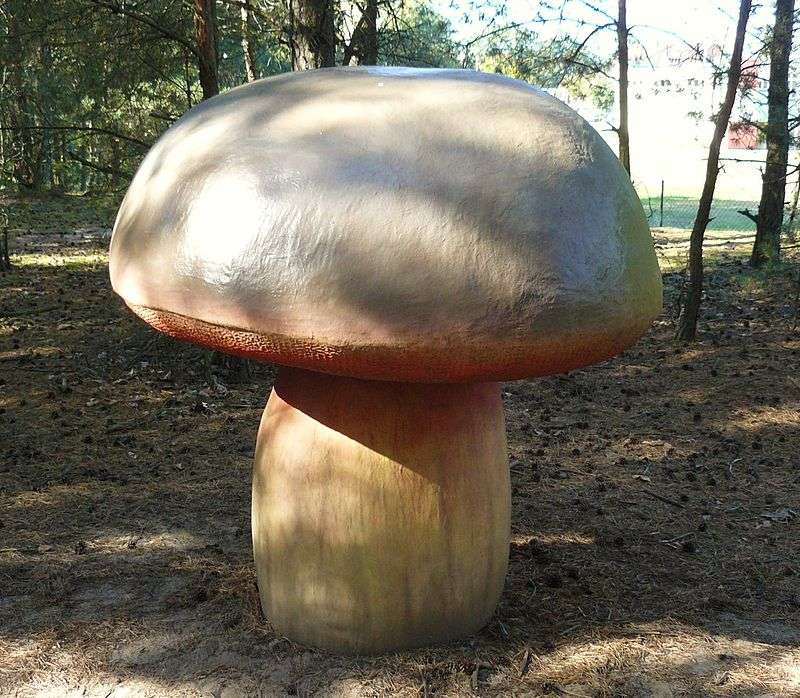 Mushroom Park in Piłka jigsaw puzzle online