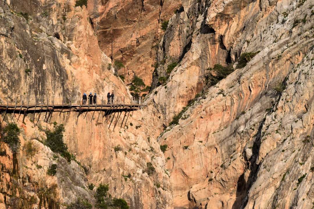 hnědý dřevěný most na hnědé skalnaté hoře během dne online puzzle